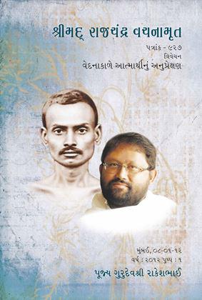 Pravachan Booklet Set 2012