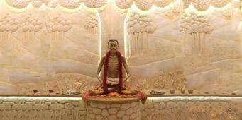 Pratishtha at Dharampur (Anand and Parul Mehta) 