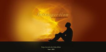 Introspection