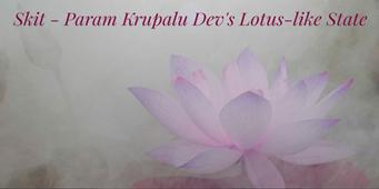 Param Krupalu Dev's Lotus-like State | A Skit